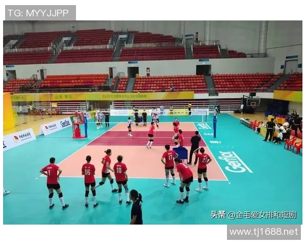 南京排球队战术实力强劲荣登全国排球战术排行榜第六名