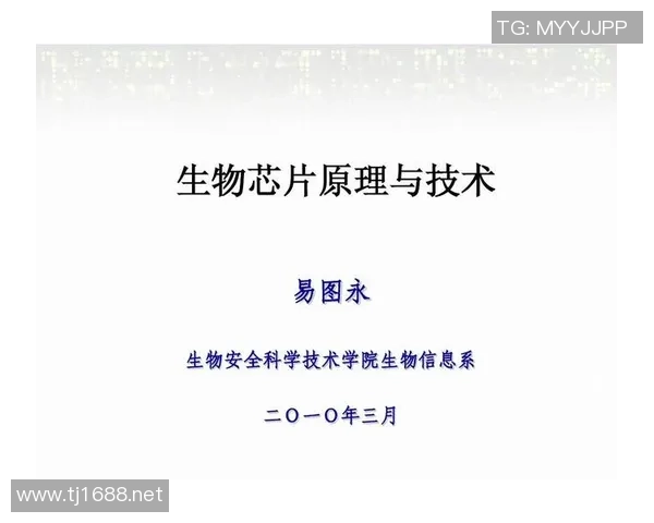上海排球队的比赛经验分享与技术分析探讨