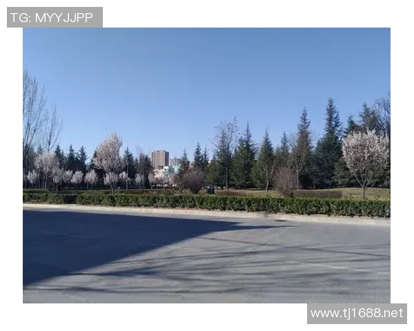 咔咔足球明星揭晓背后的故事与成就让我们一起探寻他的人生轨迹 咔咔足球明星揭晓背后的故事与成就让我们一起探寻他的人生轨迹