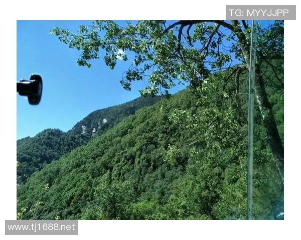 南京羽毛球队在大师赛中的奋斗与突破之路全景回顾