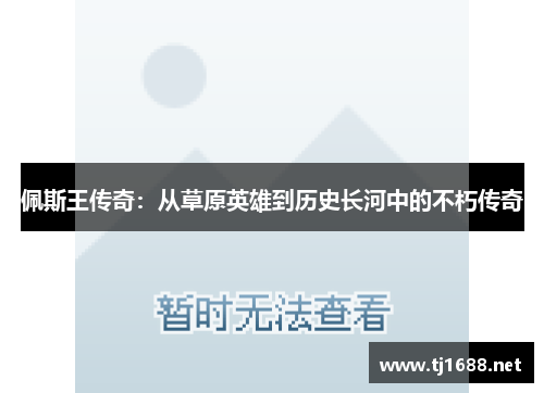 佩斯王传奇：从草原英雄到历史长河中的不朽传奇