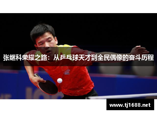 张继科荣耀之路：从乒乓球天才到全民偶像的奋斗历程