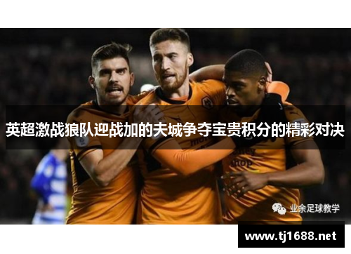 英超激战狼队迎战加的夫城争夺宝贵积分的精彩对决