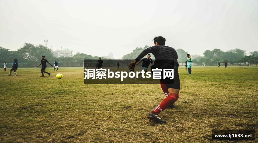 洞察bsports官网